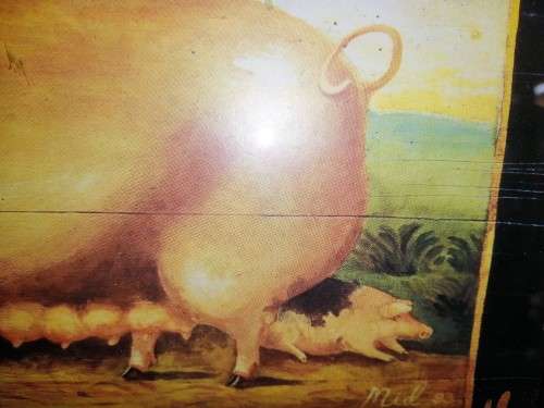 Fat Pig Print in wooden frame #