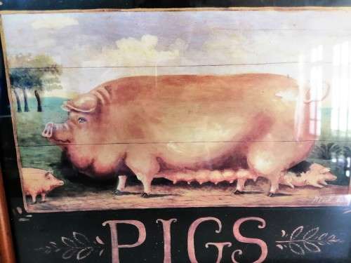Fat Pig Print in wooden frame #
