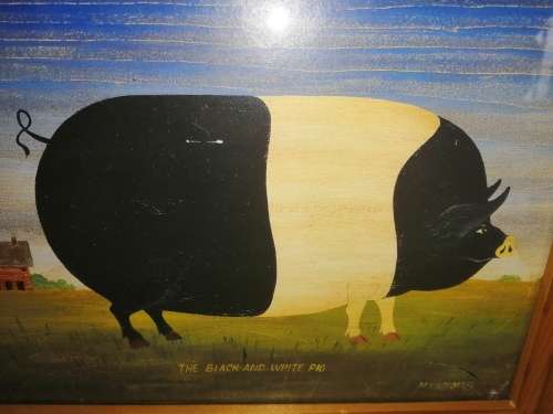 Fat Black and white Pig Print in wooden frame #