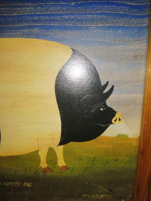 Fat Black and white Pig Print in wooden frame #