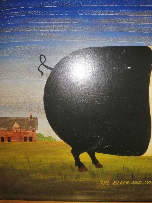 Fat Black and white Pig Print in wooden frame #
