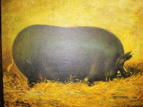 Very Old Antique Oil Painting of a fat pig #