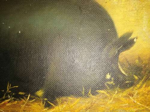 Very Old Antique Oil Painting of a fat pig #