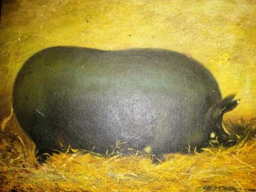 Very Old Antique Oil Painting of a fat pig #