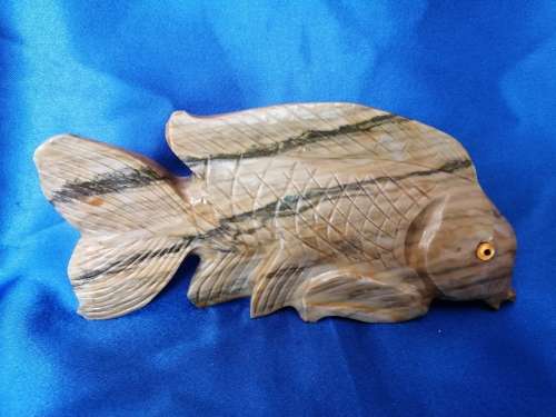Stunning stone fish with glass eyes