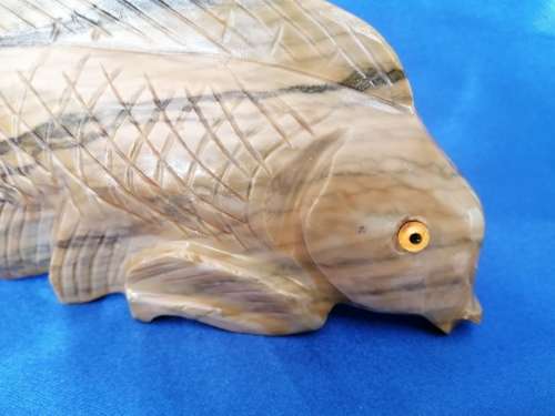 Stunning stone fish with glass eyes
