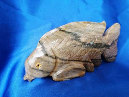 Stunning stone fish with glass eyes