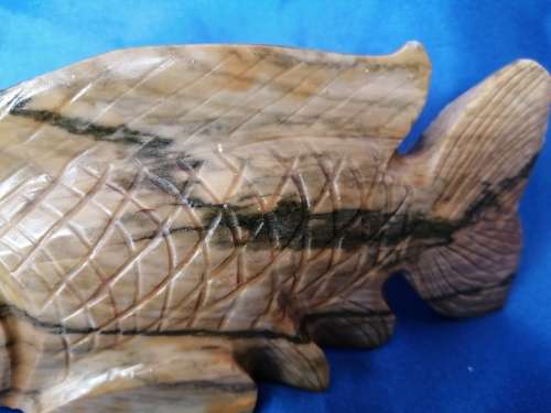 Stunning stone fish with glass eyes
