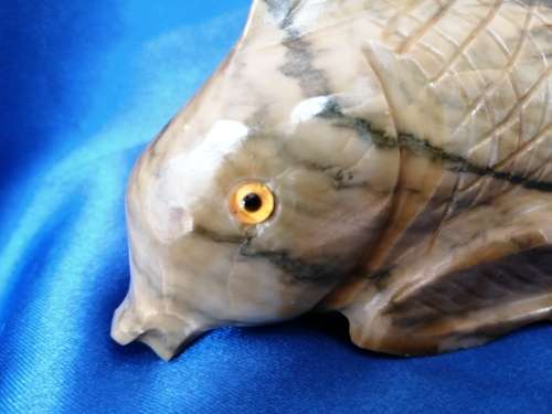 Stunning stone fish with glass eyes
