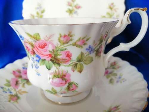 Royal Albert Moss Rose Cup Saucer Plate Trio Fine Bone England China