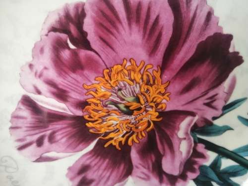Maxwell and Williams The Garden Table Pink Flower Plate