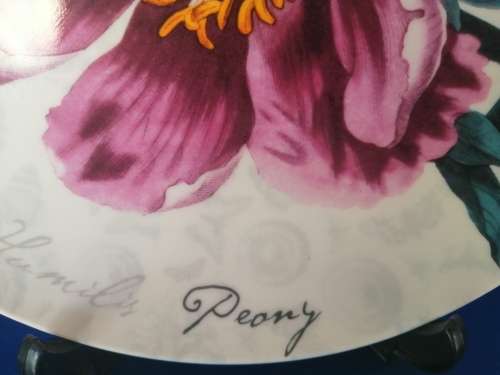 Maxwell and Williams The Garden Table Pink Flower Plate