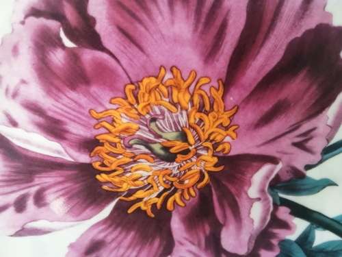 Maxwell and Williams The Garden Table Pink Flower Plate