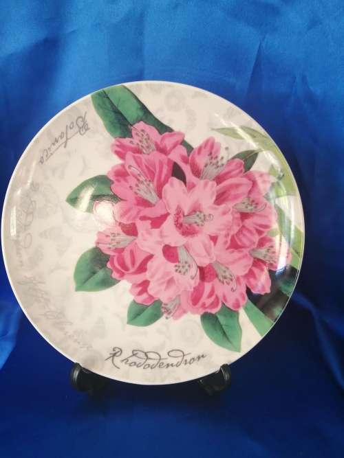Maxwell and Williams The Garden Table Pink Flowers Plate