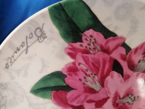 Maxwell and Williams The Garden Table Pink Flowers Plate