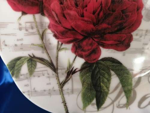 Italian Nostalgie Dore Papis Design Flower Plate