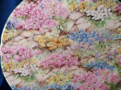 SHELLEY Rock Garden Side Plate Green Trim ENGLAND