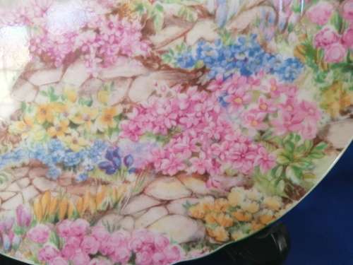 SHELLEY Rock Garden Side Plate Green Trim ENGLAND