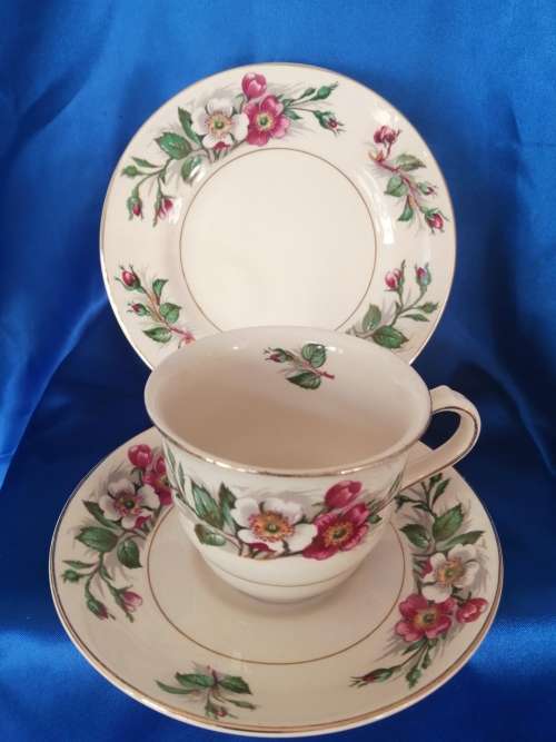 Vintage John Maddock and Son Ivory Wear Montana Cup Saucer and Side Plate Trio