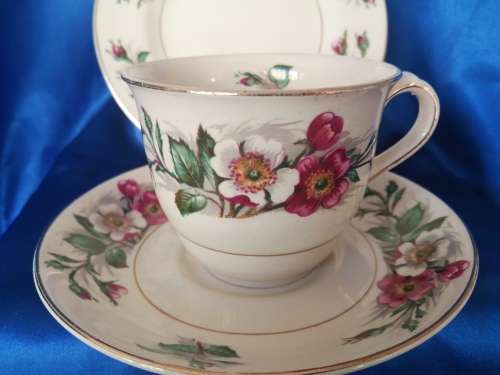 Vintage John Maddock and Son Ivory Wear Montana Cup Saucer and Side Plate Trio