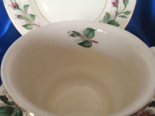Vintage John Maddock and Son Ivory Wear Montana Cup Saucer and Side Plate Trio