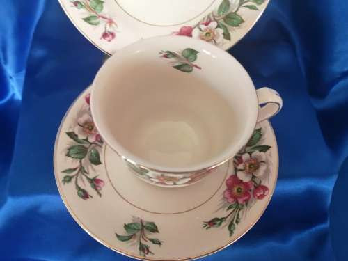 Vintage John Maddock and Son Ivory Wear Montana Cup Saucer and Side Plate Trio