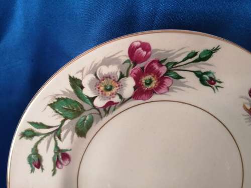 Vintage John Maddock and Son Ivory Wear Montana Cup Saucer and Side Plate Trio