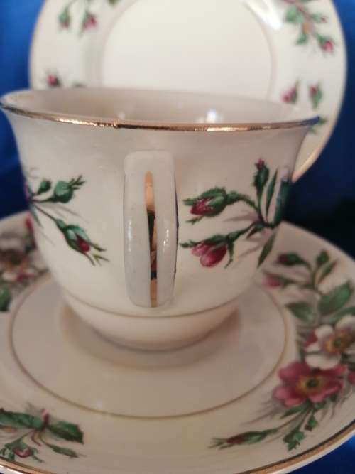 Vintage John Maddock and Son Ivory Wear Montana Cup Saucer and Side Plate Trio