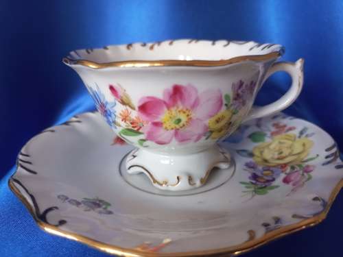 Antique Meissen Tea Cup Saucer Plate Carl Teichert Circa 1882-1929