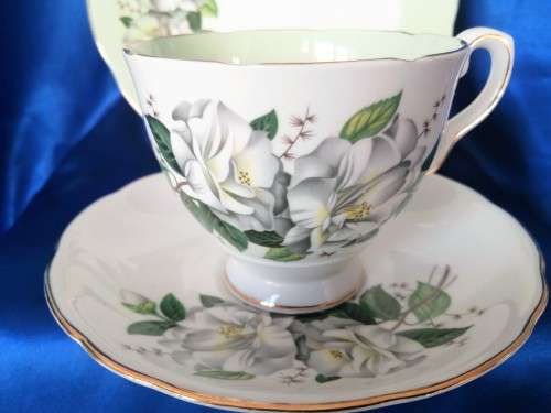 Vintage Royal Stafford English China Trio Tea Cup Saucer Plate  HARLEQUIN ROSES