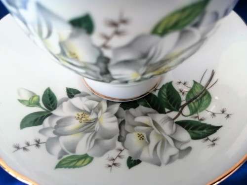 Vintage Royal Stafford English China Trio Tea Cup Saucer Plate  HARLEQUIN ROSES