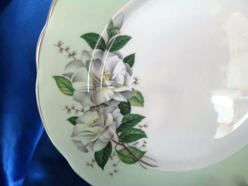 Vintage Royal Stafford English China Trio Tea Cup Saucer Plate  HARLEQUIN ROSES