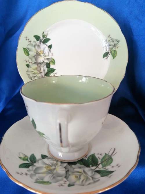 Vintage Royal Stafford English China Trio Tea Cup Saucer Plate  HARLEQUIN ROSES
