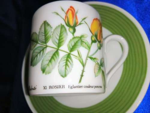Duo Hutschenreuther demi tasse coffee cup