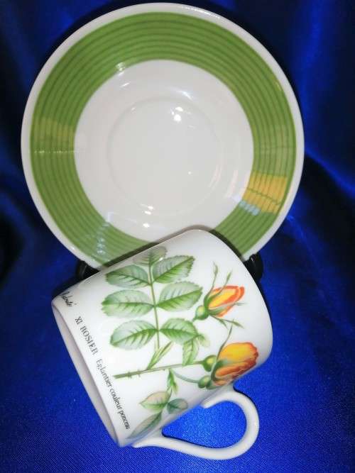 Duo Hutschenreuther demi tasse coffee cup