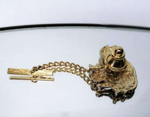 Beautiful Vintage Squirrel Pin with Chain