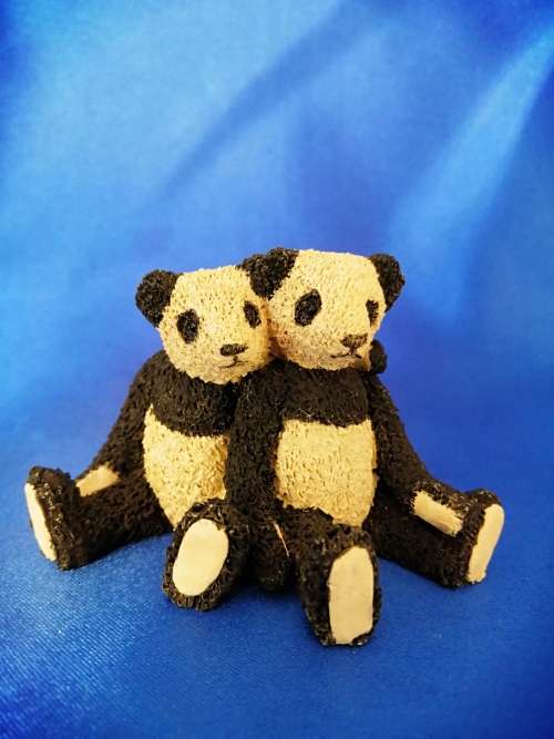 Peter Fagan Colourbox Teddy Bear Hide and Seek Pandas Scotland #