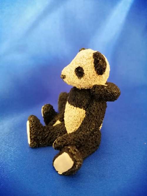 Peter Fagan Colourbox Teddy Bear Hide and Seek Pandas Scotland #