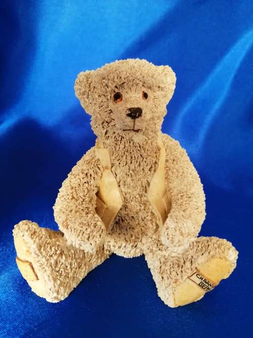 Peter Fagan Colourbox Teddy Bear Bellomy Scotland #