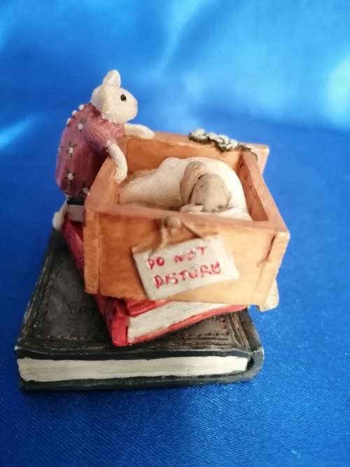 Peter Fagan Colourbox Teddy Tucked up Tight Scotland #