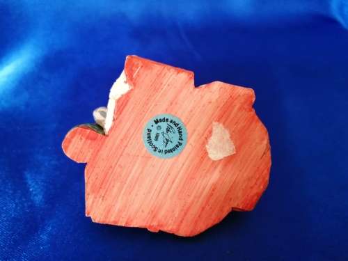 Peter Fagan Colourbox Teddy Cat Bottle Scotland #