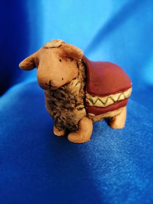 Peter Fagan Colourbox Teddy Sheep Scotland #