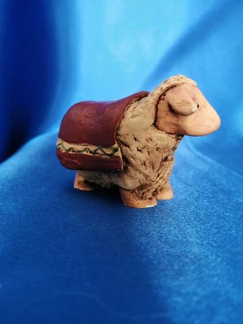 Peter Fagan Colourbox Teddy Sheep Scotland #