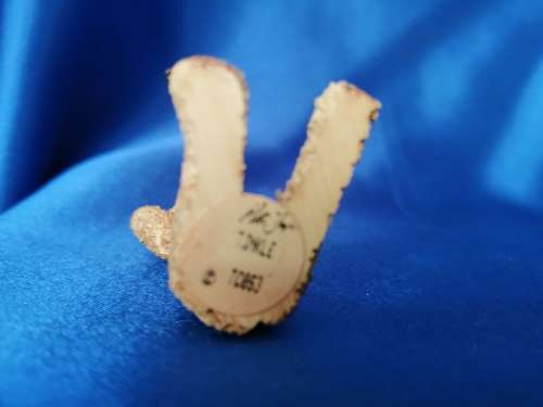 Peter Fagan Colourbox Teddy Tinkle Bear Scotland