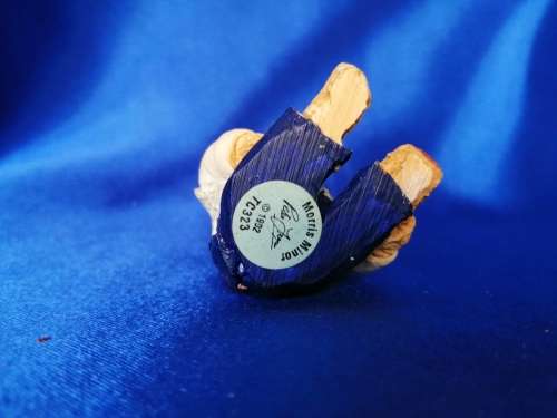 Peter Fagan Colourbox Teddy Morris Minor Bear Scotland
