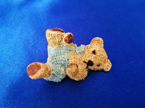 Peter Fagan Colourbox Teddy Fred Bear Scotland