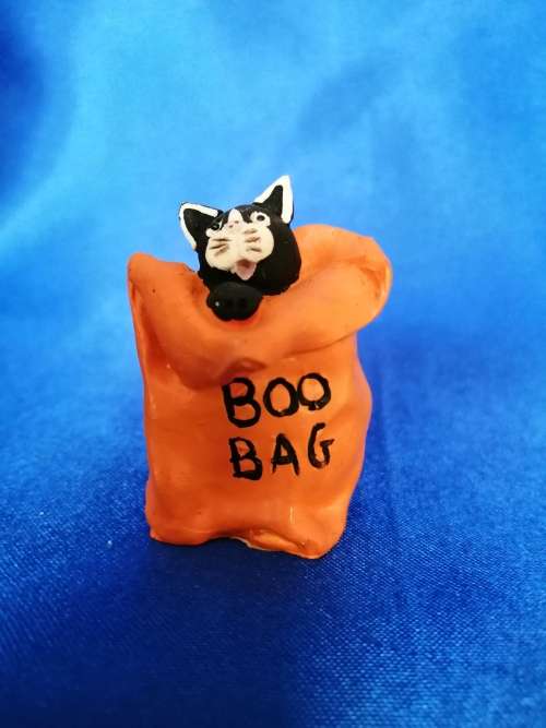Peter Fagan Colourbox Cat BOO! Scotland