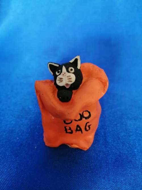 Peter Fagan Colourbox Cat BOO! Scotland