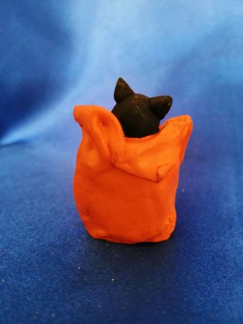 Peter Fagan Colourbox Cat BOO! Scotland