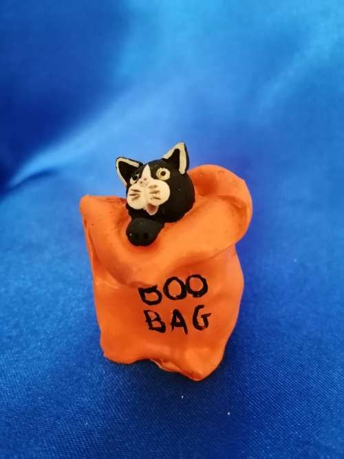 Peter Fagan Colourbox Cat BOO! Scotland